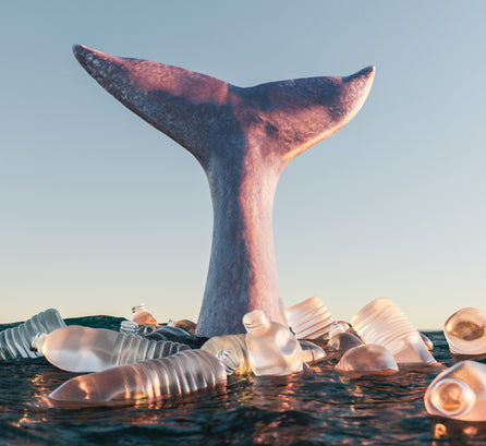 PLASTIC: The Good, The Bad, and the Ugly